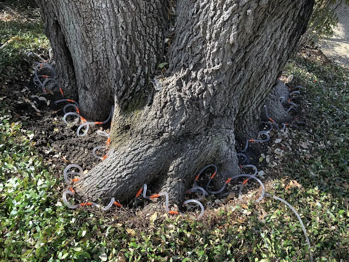 Detailed Shrub and Hedge Trimming job site in Warrensville