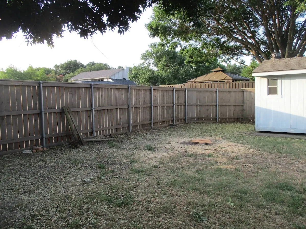 Cleared yard after professional tree removal in Warrensville